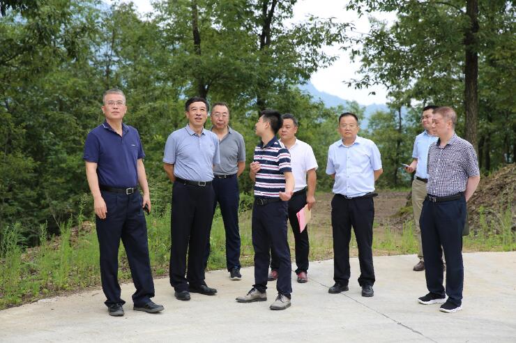 中國能建總經(jīng)理、黨委副書記孫洪水一行赴陜西鎮(zhèn)巴縣調(diào)研定點扶貧工作