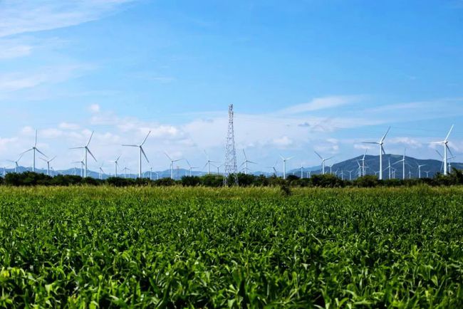 收購(gòu)墨西哥818MW光伏電站，國(guó)家電投境外光伏電站裝機(jī)超6GW