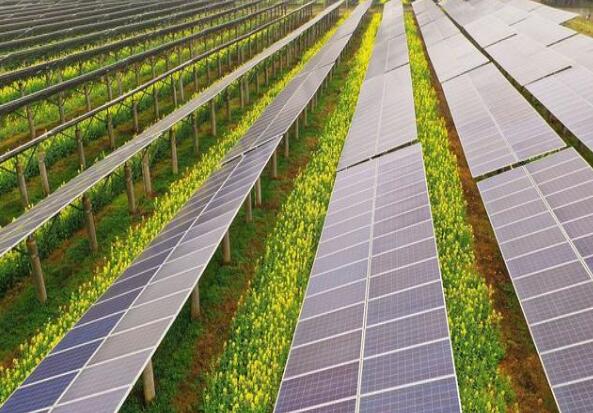 廣東清遠(yuǎn)建設(shè)小型農(nóng)光互補(bǔ)光伏發(fā)電站，工程總投資1.5億元