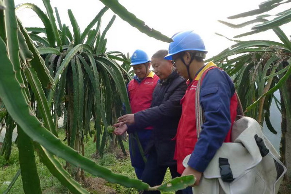 國網(wǎng)寧?？h供電公司：“電力紅馬甲”護(hù)航，退役軍人鄉(xiāng)村創(chuàng)業(yè)“紅如火”