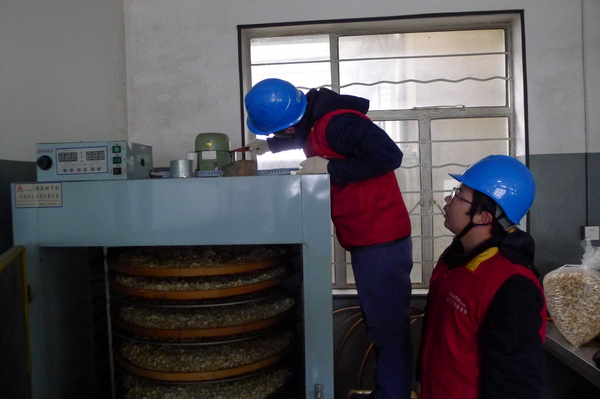 國(guó)網(wǎng)寧?？h供電公司：電力紅馬甲服務(wù)鄉(xiāng)村企業(yè) ，讓黃精變“黃金”