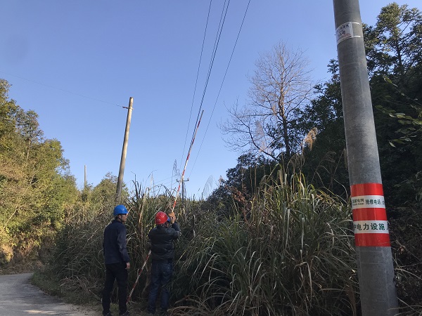國網(wǎng)南豐縣供電公司：為電桿穿上“防撞衣”，確保交通安全