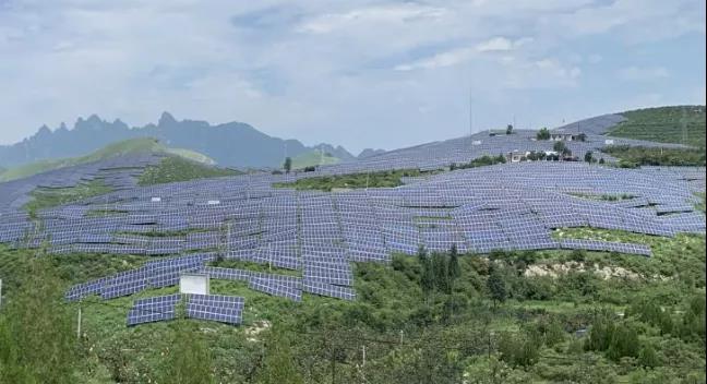 少長一棵草，多發(fā)一度電，助力碳中和