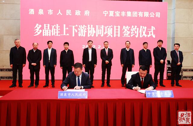 寶豐集團擬在寧夏建設(shè)35萬噸工業(yè)硅、30萬噸多晶硅、50GW拉晶切片、30GW電池組件