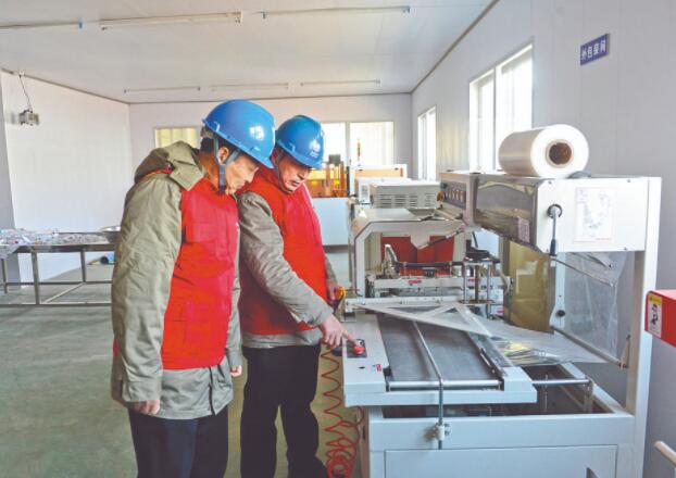 濱?？h供電公司：白首烏產(chǎn)業(yè)發(fā)展充上“滿格電”