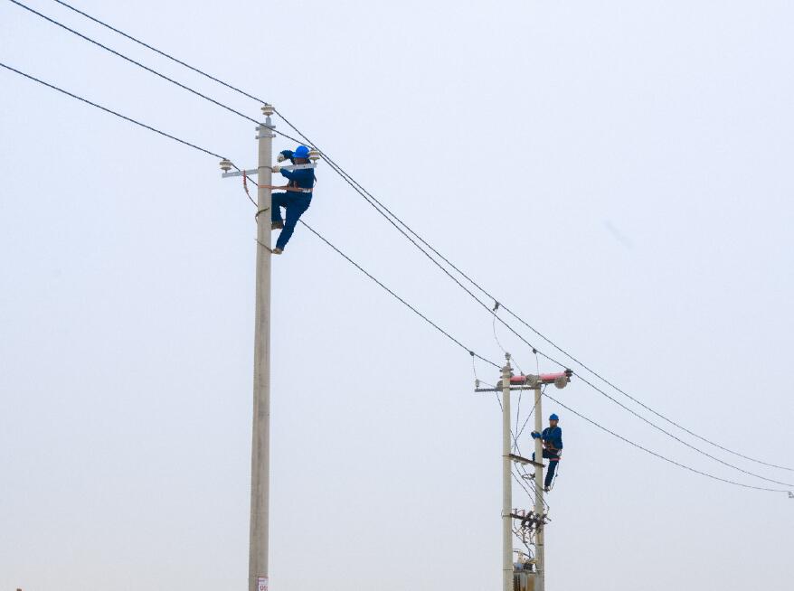 阿拉善供電公司：電網(wǎng)健康“體檢”，從登桿開始