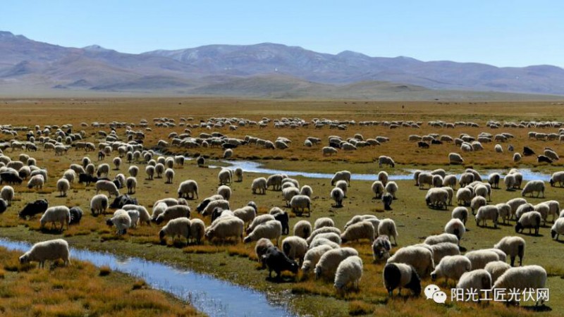 面積接近一個(gè)新加坡！青海塔拉灘光伏電站照亮“陽(yáng)光之路”