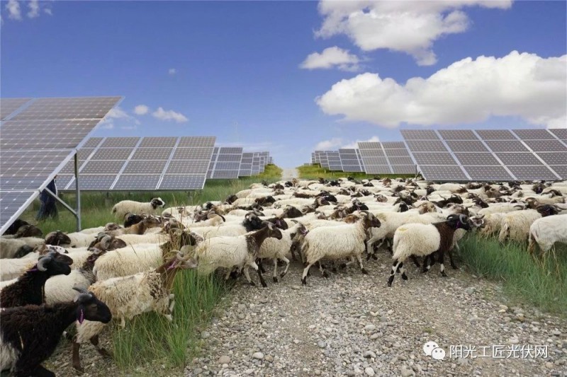 面積接近一個(gè)新加坡！青海塔拉灘光伏電站照亮“陽(yáng)光之路”