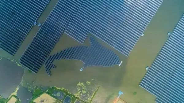 泗洪1000MW光伏領(lǐng)跑者項(xiàng)目被勒令拆除整改！