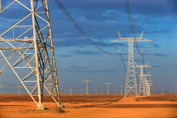 國家電網(wǎng)公司貫徹落實黨中央、國務院決策部署 全力服務扎實穩(wěn)住經(jīng)濟的八項舉措