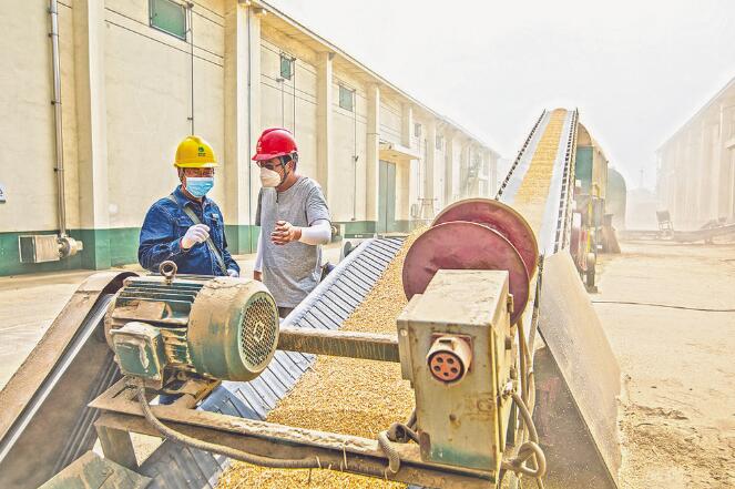 河南新鄉(xiāng):夏糧滿倉保電忙