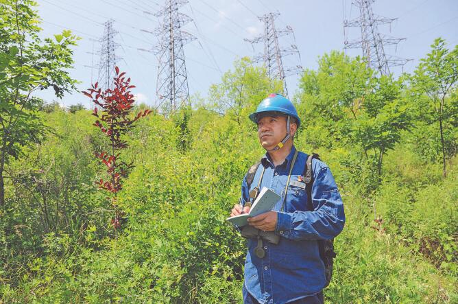 馬新全:穿行林海守護輸電線路安全