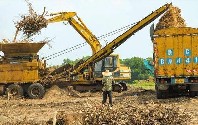海南省?？诙嗯e措推進(jìn)秸稈等農(nóng)林廢棄物綜合利用