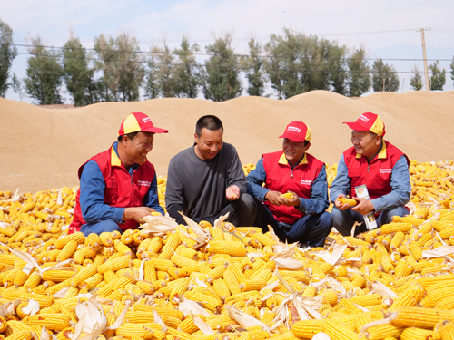 沿著總書記的足跡|千里隴原，絢麗多彩