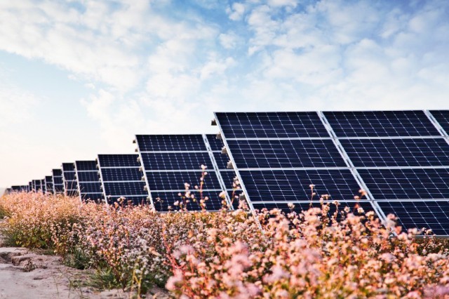 華能“嘗鮮”，攜隆基綠能打造高性價(jià)比光伏電站