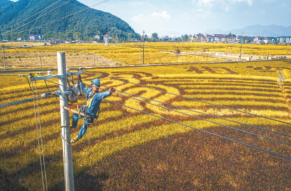 杭州富陽區(qū)供電公司改造升級(jí)農(nóng)網(wǎng)，服務(wù)農(nóng)業(yè)生產(chǎn)電氣化