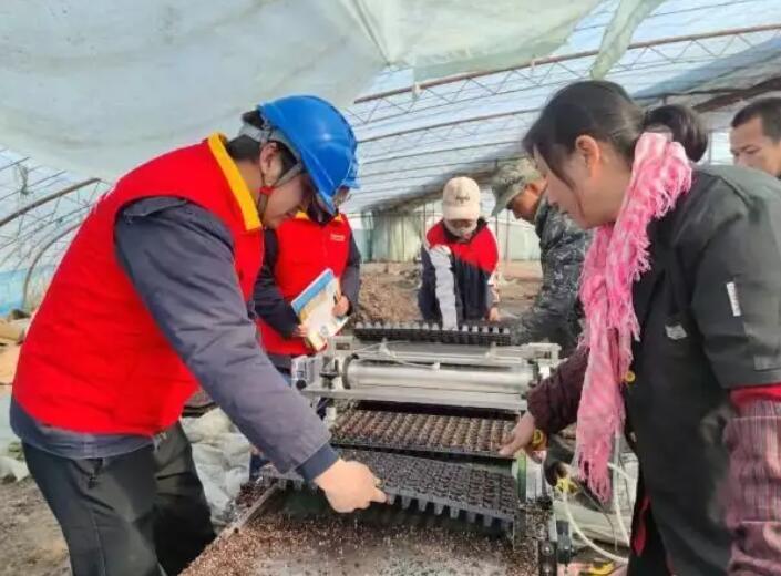 國網新疆電力公司貼心服務，為春耕春灌用電保駕護航