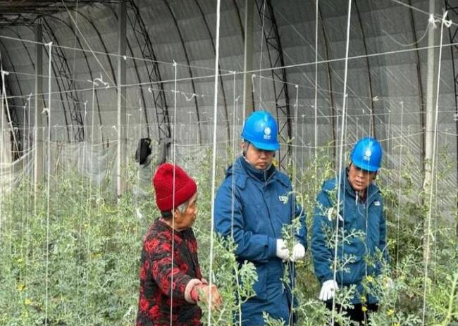 山東惠民供電公司：走訪種植大棚，優(yōu)化農(nóng)業(yè)營(yíng)商環(huán)境