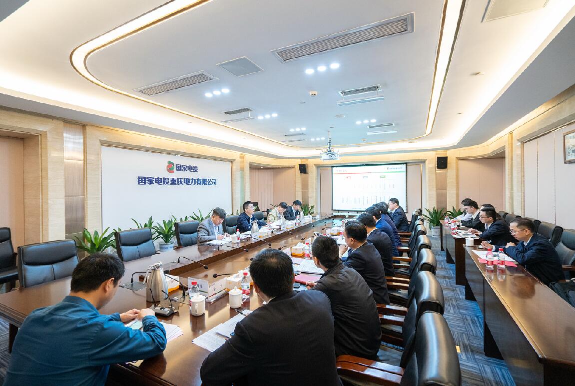 徐樹彪到重慶公司、遠(yuǎn)達(dá)環(huán)保調(diào)研