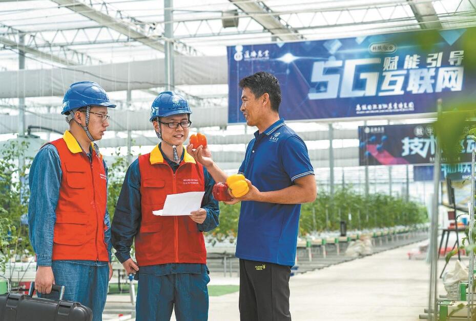 浙江桐鄉(xiāng)市供電公司黨委深入實施“旗幟領航”黨建工程服務地方經濟社會發(fā)展