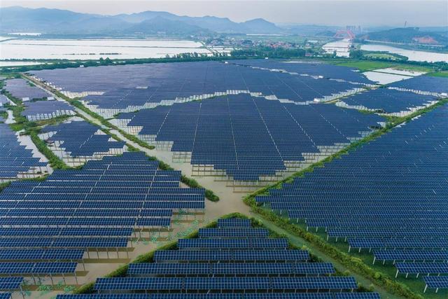 水上發(fā)電，水下養(yǎng)魚(yú)!黃石“漁光互補(bǔ)”綠色興農(nóng)