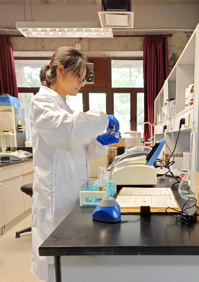 寶山這位博士后探索“氫轉(zhuǎn)甲烷”科創(chuàng)路徑，推動(dòng)清潔能源制氫