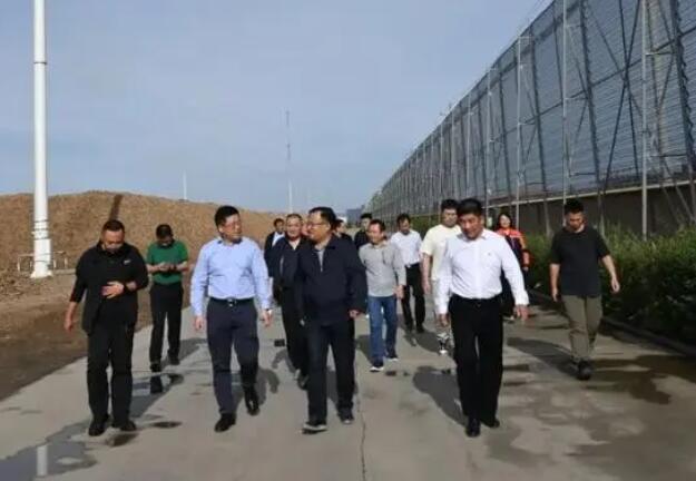 內(nèi)蒙古專項(xiàng)督查組蒞臨龍基生物質(zhì)熱電項(xiàng)目考察，助力鄉(xiāng)村振興發(fā)展