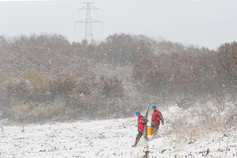 國(guó)家電網(wǎng)全力應(yīng)對(duì)寒潮，保障電力可靠供應(yīng)