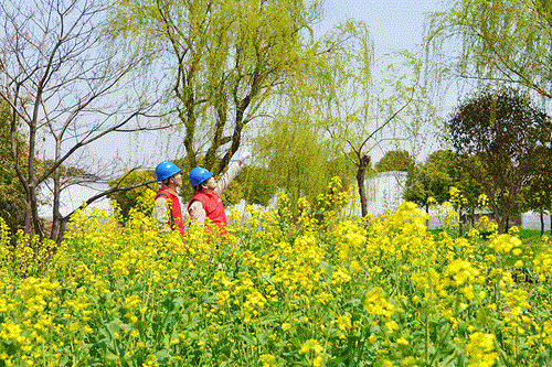 國網(wǎng)太倉市供電公司：電力賦能農(nóng)文旅，五一出游“零碳”行