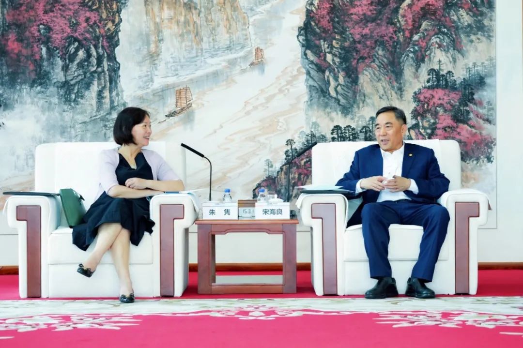中國能建黨委書記、董事長宋海良與絲路基金董事長朱雋會談