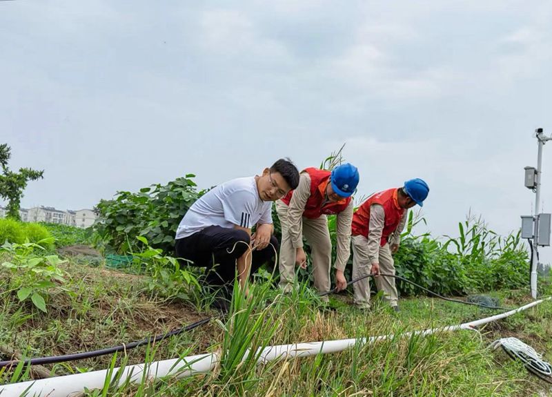 國網江蘇電力睢寧縣供電公司:電力護航不誤農時