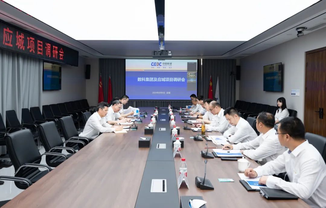 中國能建黨委副書記、總經(jīng)理倪真調(diào)研湖北應(yīng)城300兆瓦壓氣儲能項目