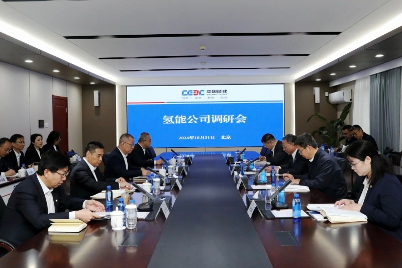 中國能建黨委副書記、總經(jīng)理倪真到氫能公司調(diào)研