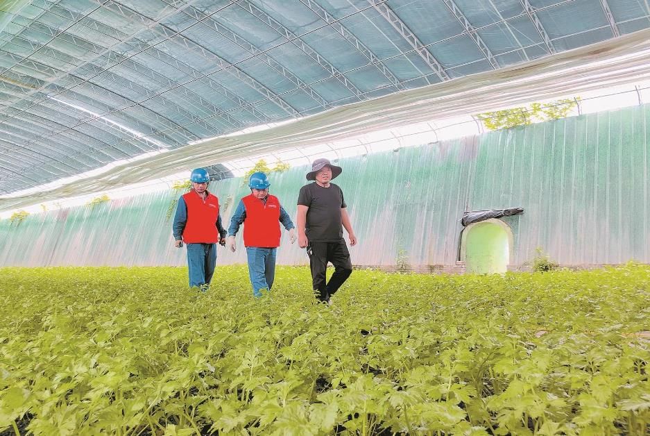 寧夏賀蘭縣：賀蘭山下，稻香魚肥