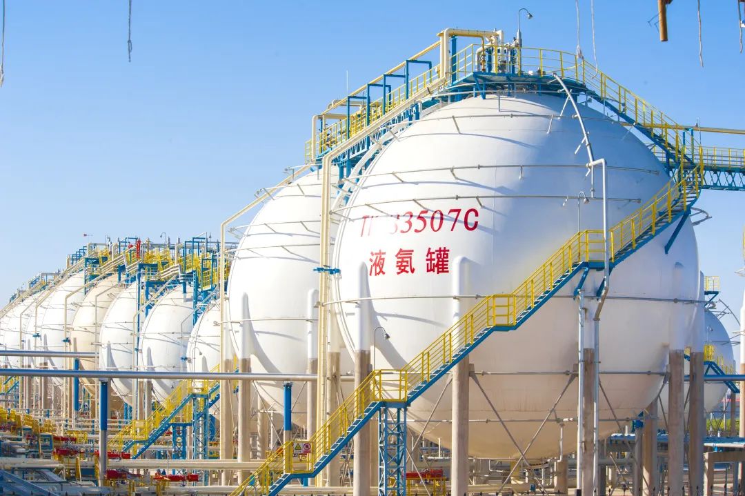 綠氫制綠氨，寧煤完成耦合示范!