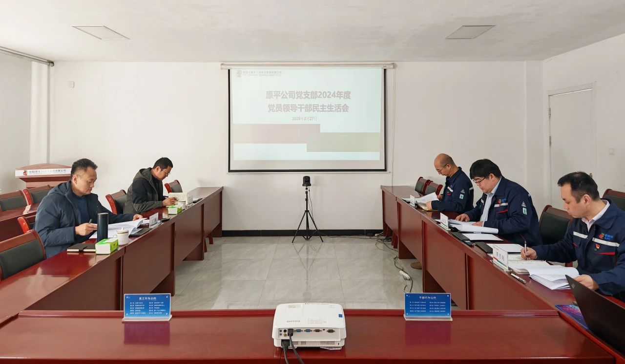 國家電投山西公司所屬單位召開2024年度黨員領(lǐng)導干部民主生活會