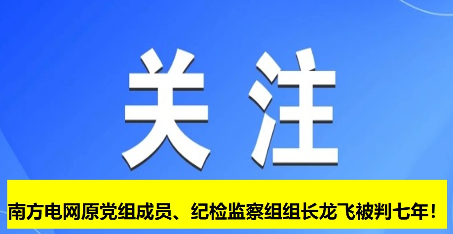 南方電網(wǎng)原黨組成員、紀(jì)檢監(jiān)察組組長龍飛被判